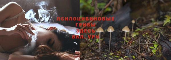 ГАЛЛЮЦИНОГЕННЫЕ ГРИБЫ Осташков