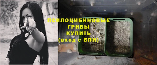 ГАЛЛЮЦИНОГЕННЫЕ ГРИБЫ Остров