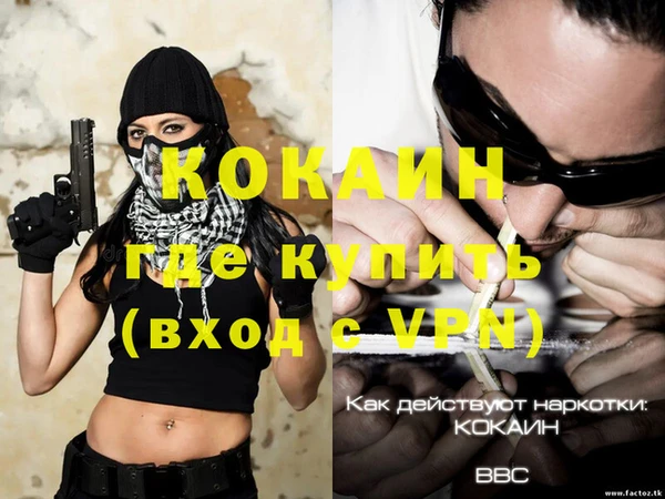 ГАЛЛЮЦИНОГЕННЫЕ ГРИБЫ Осташков