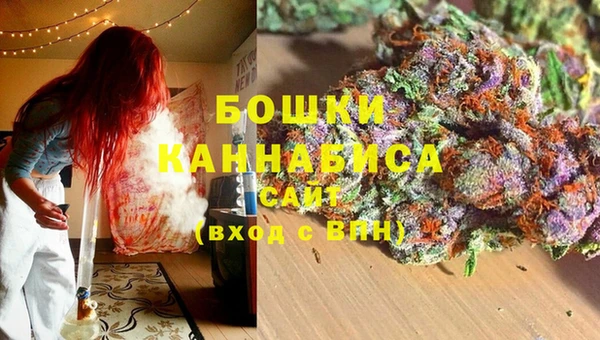 Альфа ПВП Осинники