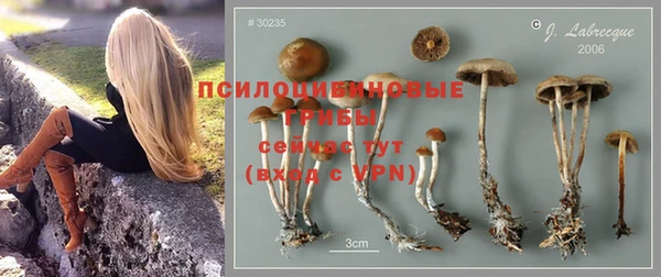 ГАЛЛЮЦИНОГЕННЫЕ ГРИБЫ Осташков