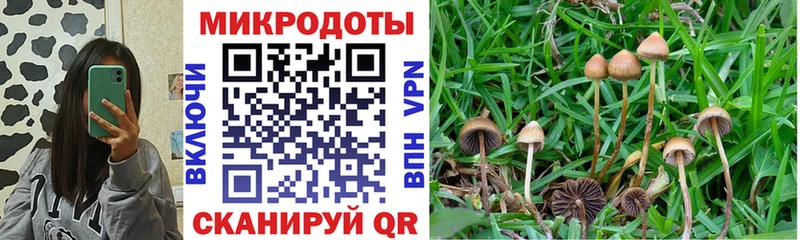 Купить закладки  Семилуки  Псилоцибиновые грибы Cubensis 
