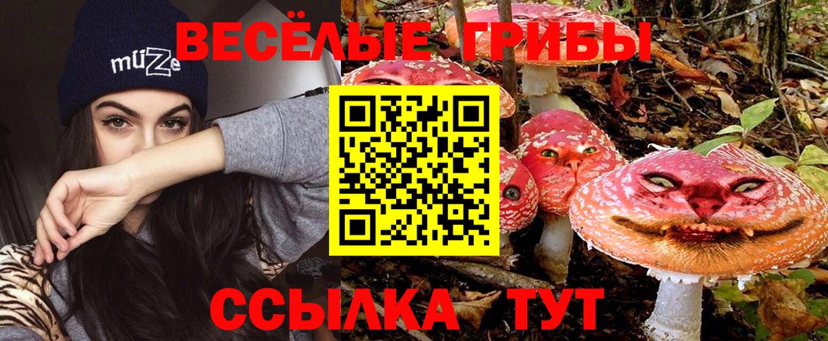 Псилоцибиновые грибы мухоморы  Вход с VPN  Семилуки 